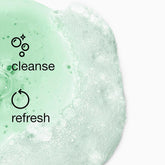 All about Clean Liquid Gentle Facial Cleanser Soap for Dry Combination Skin Types, Mild